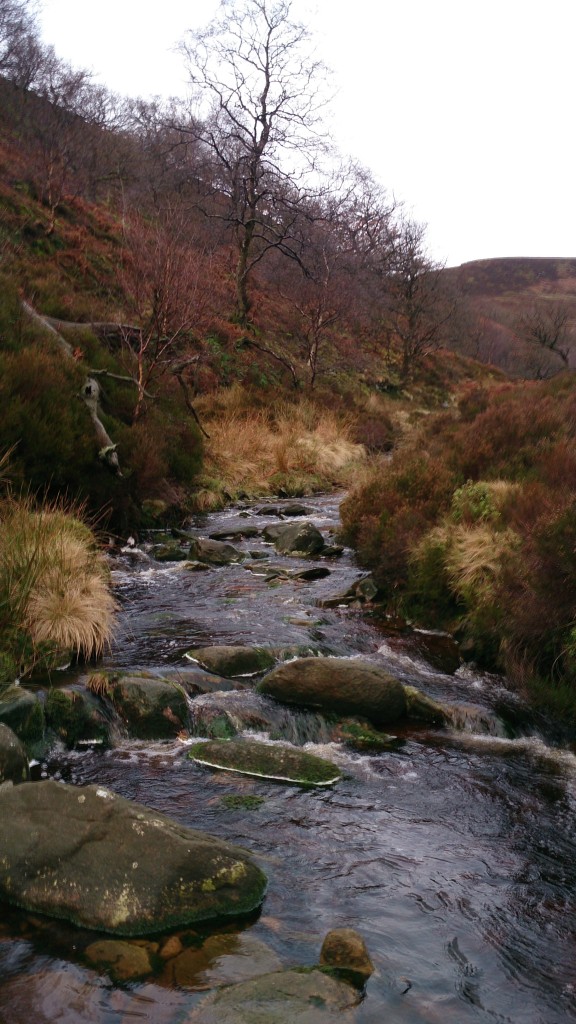 Stainery Clough where it flows into the Derwent. Please click on the image to view in full-size.